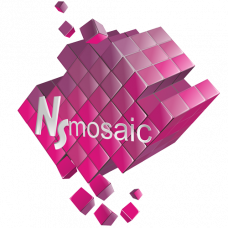 NSmosaic